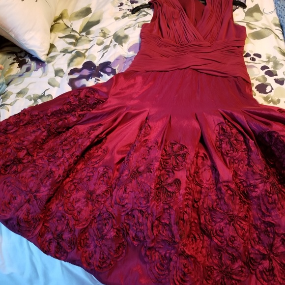 Adrianna Papell dress ABSOLUTELY Beautiful - Picture 3 of 9